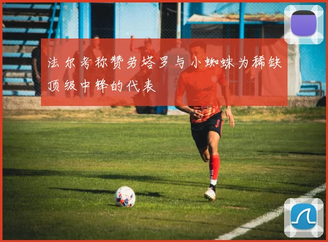 法尔考称赞劳塔罗与小蜘蛛为稀缺顶级中锋的代表