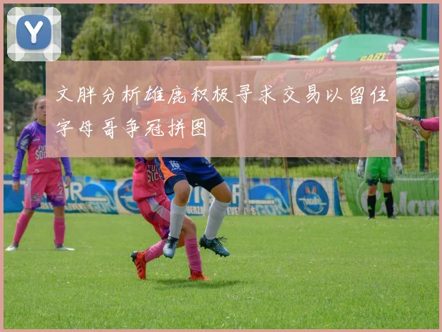 文胖分析雄鹿积极寻求交易以留住字母哥争冠拼图